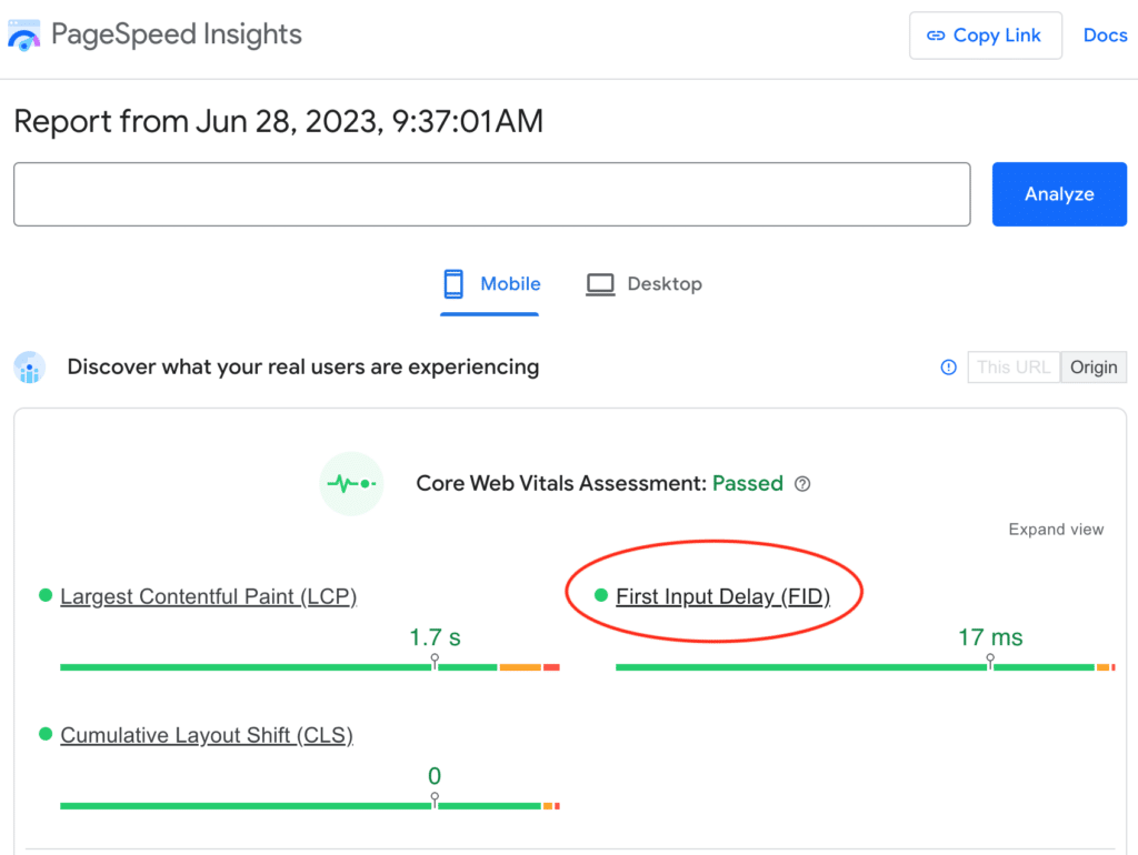 First Input Delay (FID) in google pagespeed insights